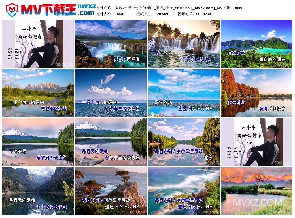 大欢-一千个伤心的理由_国语_流行_YE100389